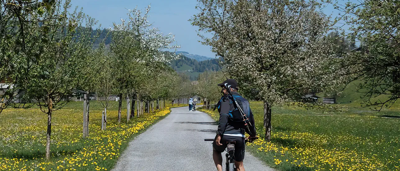 Oberstdorf im Sommer.